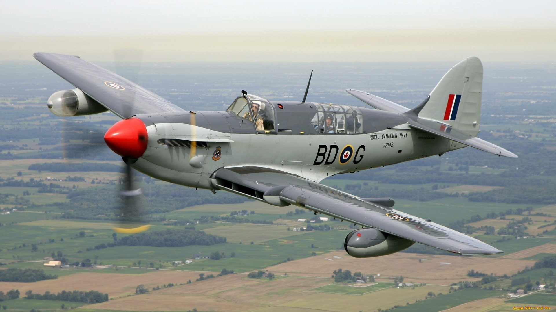 Ас мк 6. Fairey Firefly. Firefly самолет. Файерфлай Canadian Navy. Fairey Firefly фото.